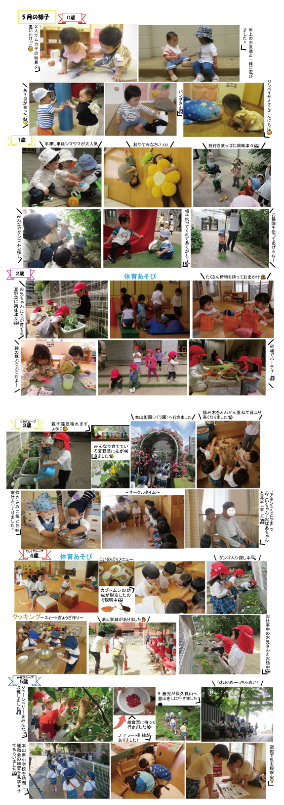 2025年6月 園の様子